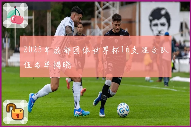 2025年成都团体世界杯16支混合队伍名单揭晓
