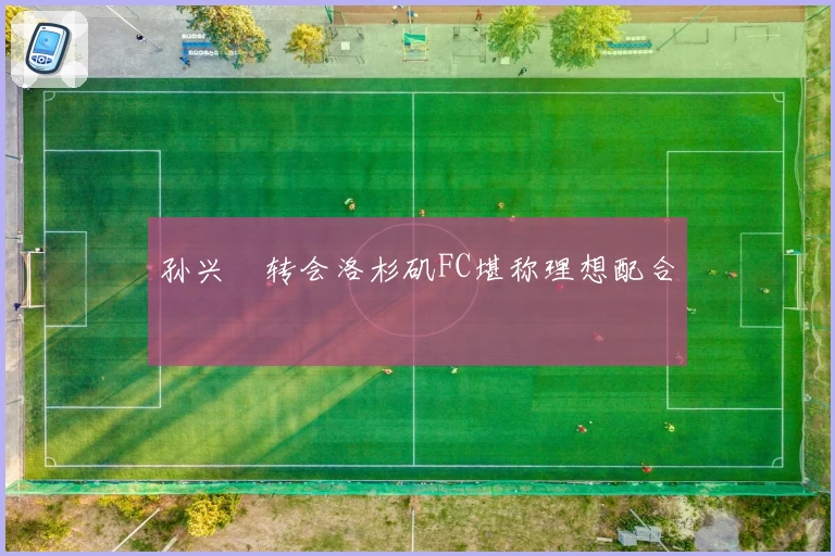 孙兴慜转会洛杉矶FC堪称理想配合