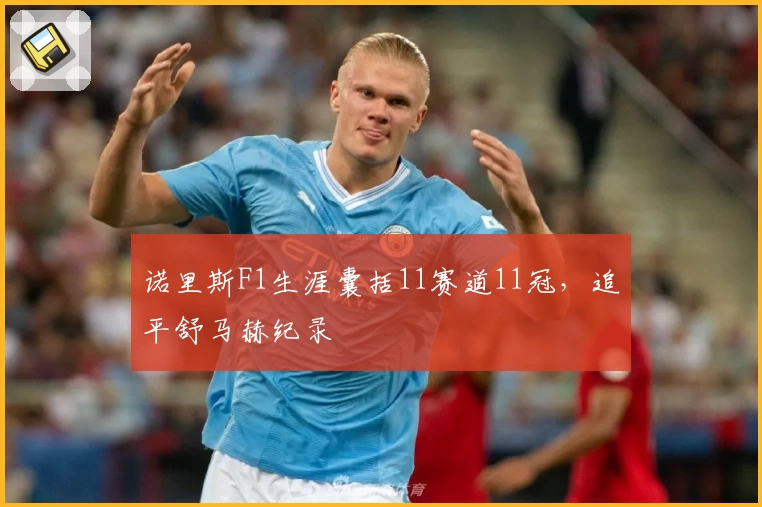 诺里斯F1生涯囊括11赛道11冠，追平舒马赫纪录