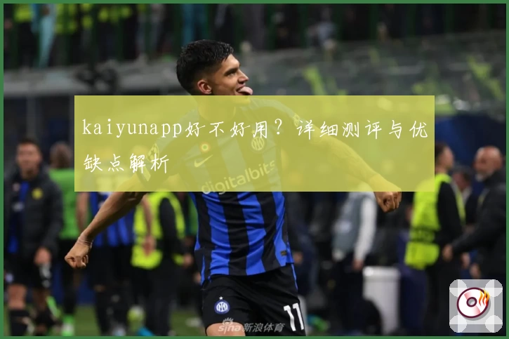 kaiyunapp好不好用？详细测评与优缺点解析