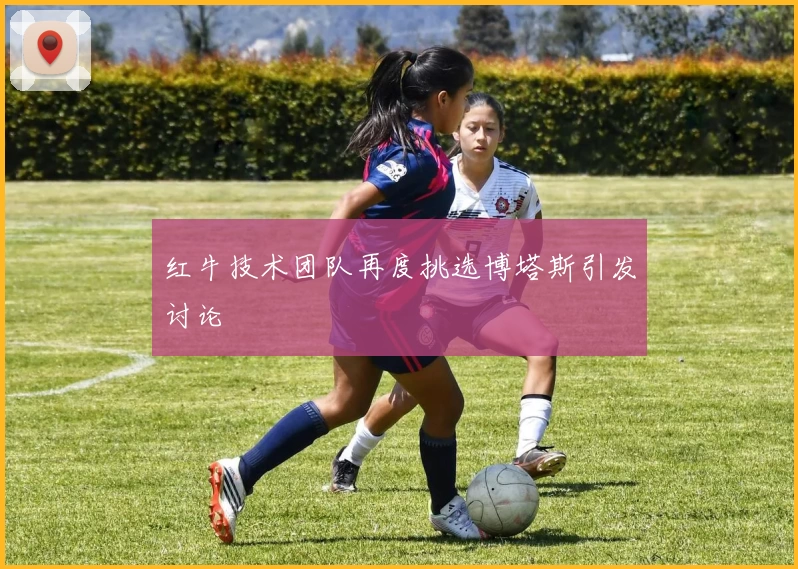 红牛技术团队再度挑选博塔斯引发讨论