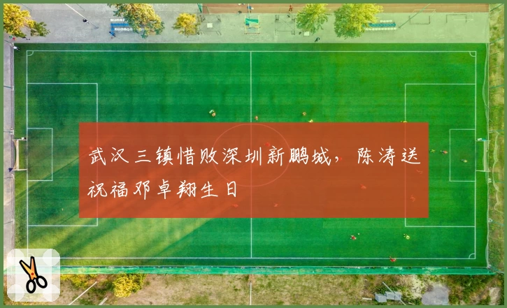 武汉三镇惜败深圳新鹏城，陈涛送祝福邓卓翔生日